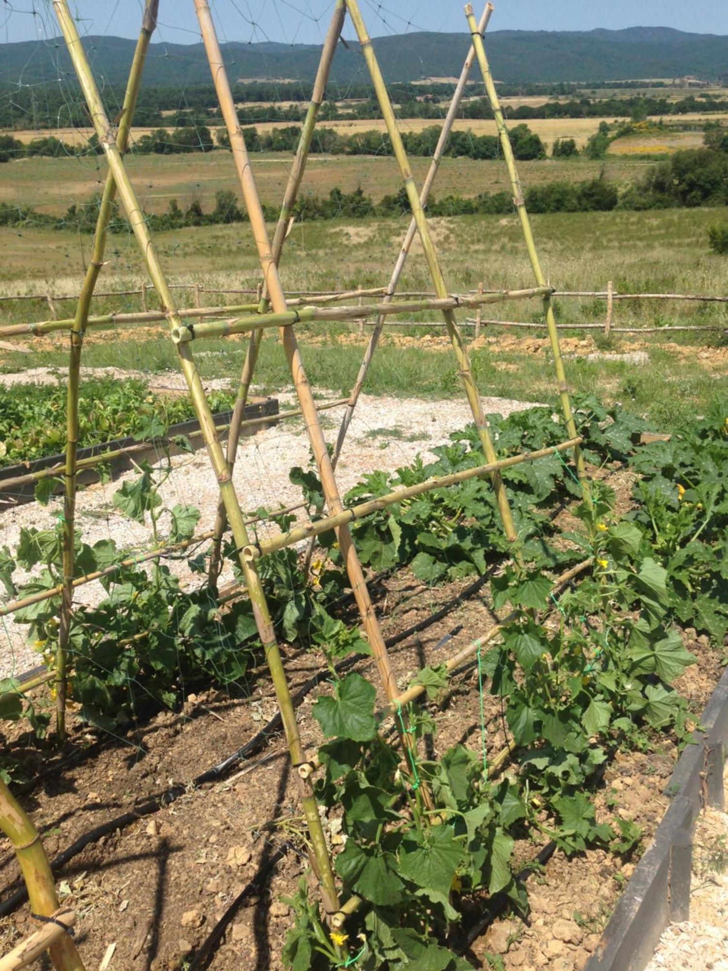 Wine Resort Conti Di San Bonifacio Ribolla 외부 사진
