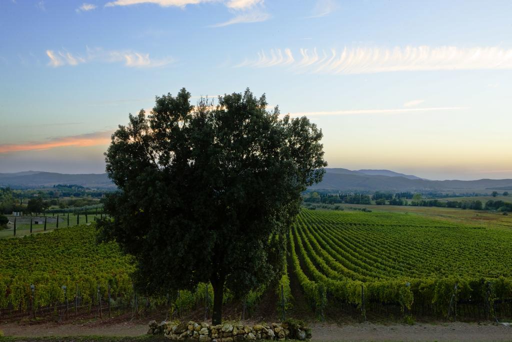 Wine Resort Conti Di San Bonifacio Ribolla 외부 사진
