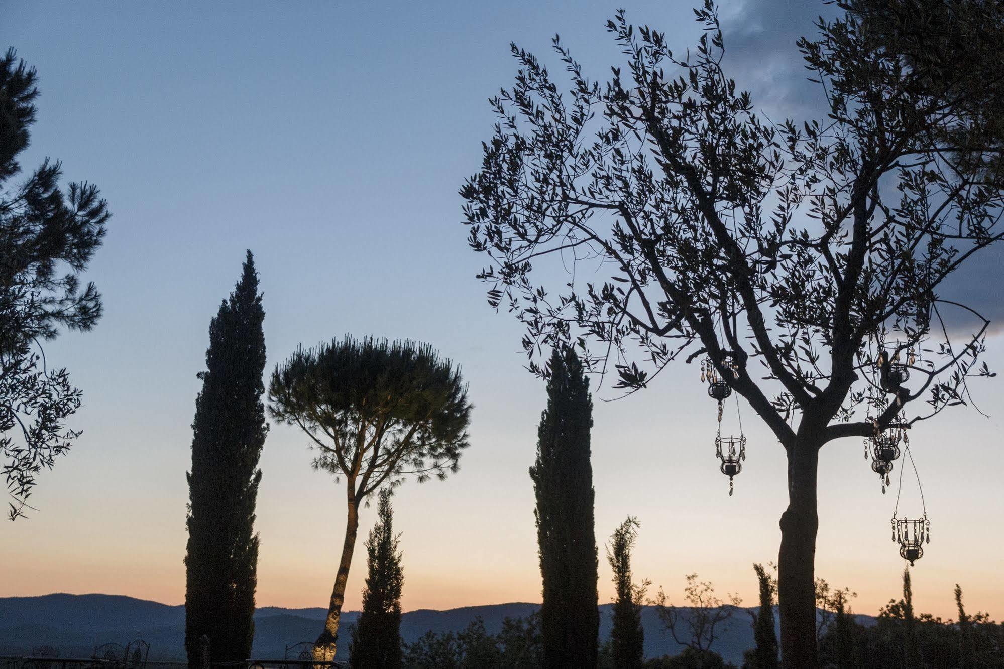 Wine Resort Conti Di San Bonifacio Ribolla 외부 사진